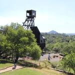 IMG_7744 (May 28, 2024)